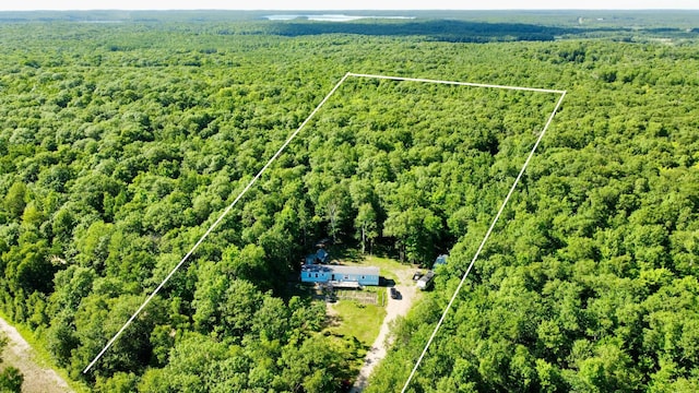 31700 Cherry Lake Rd, Ogema, MN 56569 - aerial view of property's location featuring a forest and property parcel outlined