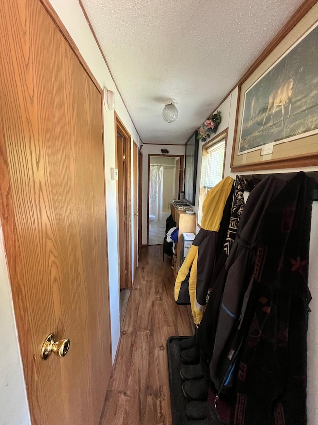 31700 Cherry Lake Rd, Ogema, MN 56569 - corridor with wood finished floors and a textured ceiling
