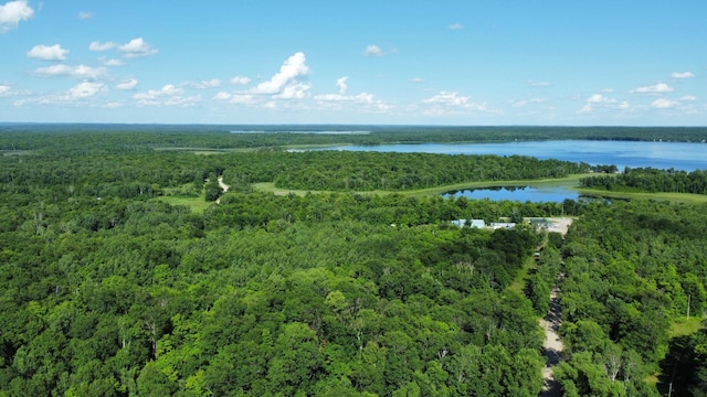 31700 Cherry Lake Rd, Ogema, MN 56569 - aerial view of a forest and a nearby body of water