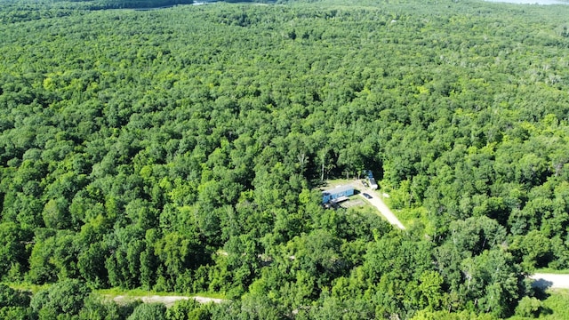 31700 Cherry Lake Rd, Ogema, MN 56569 - aerial overview of property's location with a forest