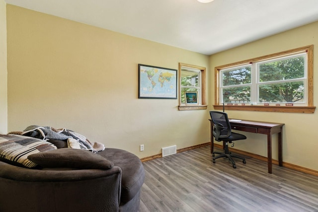 311 Lincoln Ave N, New Prague, MN 56071 - photo 28