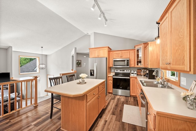 911 Hazelwood Ct, Buffalo, MN 55313 - kitchen featuring stainless steel appliances, dark wood-style floors, plenty of natural light, light countertops, and vaulted ceiling