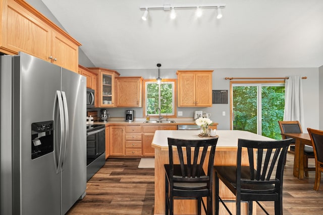 911 Hazelwood Ct, Buffalo, MN 55313 - kitchen with stainless steel appliances, light brown cabinets, light countertops, dark wood-type flooring, and vaulted ceiling