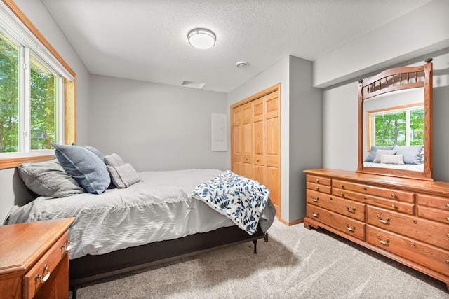 911 Hazelwood Ct, Buffalo, MN 55313 - bedroom featuring multiple windows, a closet, carpet flooring, and a textured ceiling