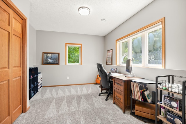 911 Hazelwood Ct, Buffalo, MN 55313 - office space featuring light carpet and a textured ceiling