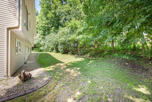 911 Hazelwood Ct, Buffalo, MN 55313 - view of green lawn