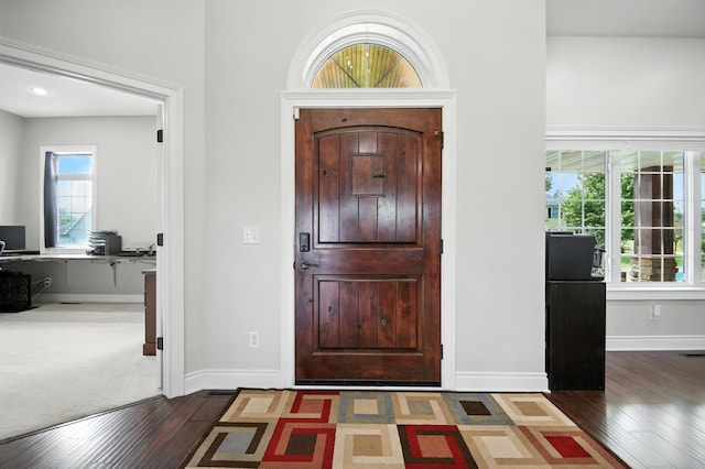 1570 Wood Duck Ln NE, Owatonna, MN 55060 - entrance foyer featuring dark wood-style floors and baseboards