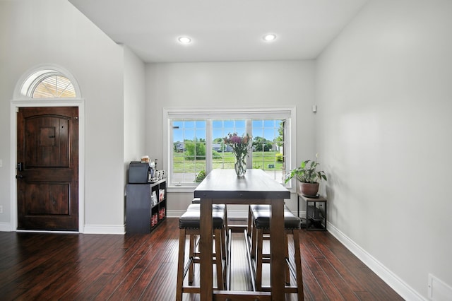 1570 Wood Duck Ln NE, Owatonna, MN 55060 - dining area with hardwood / wood-style floors and recessed lighting