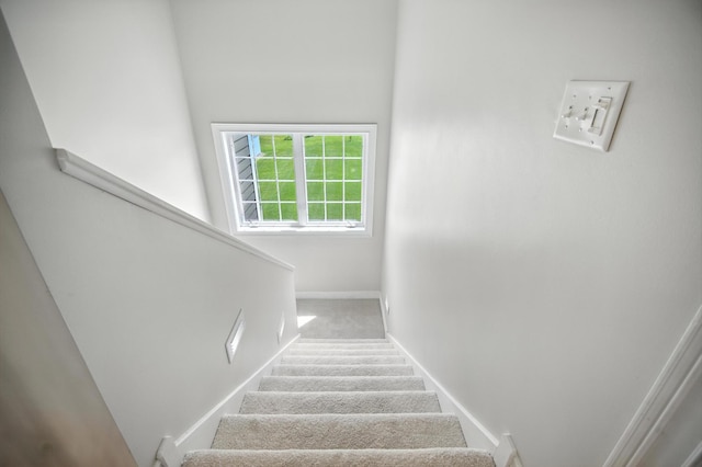 1570 Wood Duck Ln NE, Owatonna, MN 55060 - stairway featuring carpet and baseboards