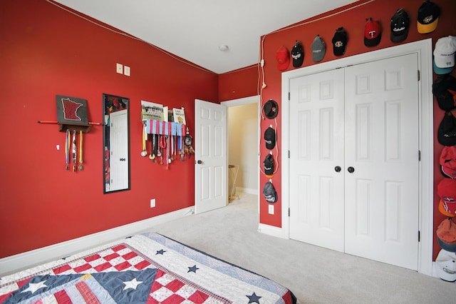 1570 Wood Duck Ln NE, Owatonna, MN 55060 - bedroom with carpet and a closet