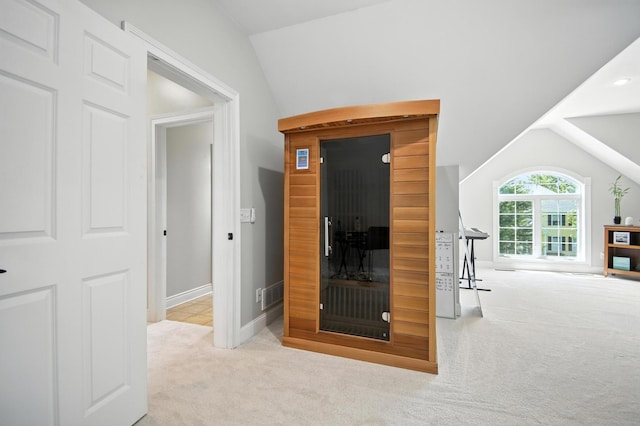 1570 Wood Duck Ln NE, Owatonna, MN 55060 - hall with carpet floors and vaulted ceiling