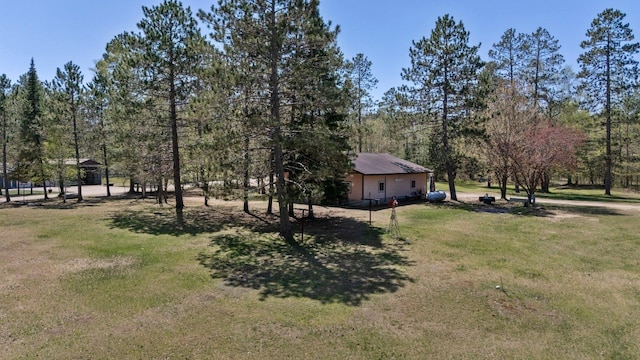 24621 Long Lake Rd, Bigfork, MN 56628 - view of green lawn