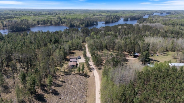 24621 Long Lake Rd, Bigfork, MN 56628 - view of property location featuring a forest and a large body of water