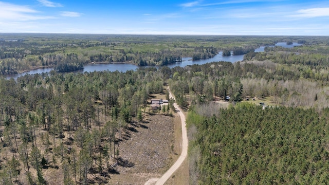24621 Long Lake Rd, Bigfork, MN 56628 - aerial view of property and surrounding area with a large body of water