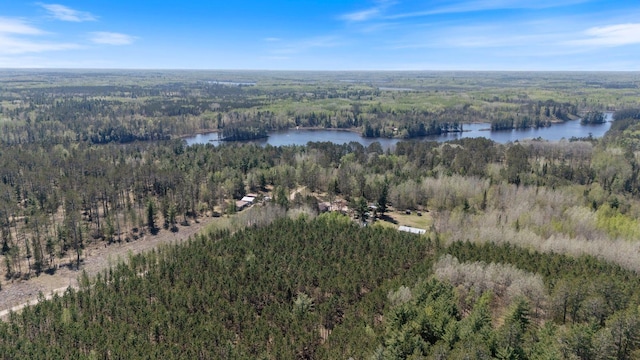 24621 Long Lake Rd, Bigfork, MN 56628 - drone / aerial view of a forest and a nearby body of water