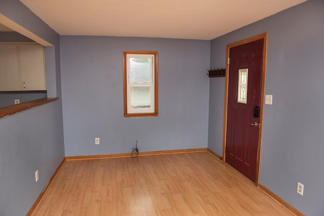 304 Pearl St, Spring Valley, MN 55975 - foyer entrance featuring light wood-style floors and baseboards