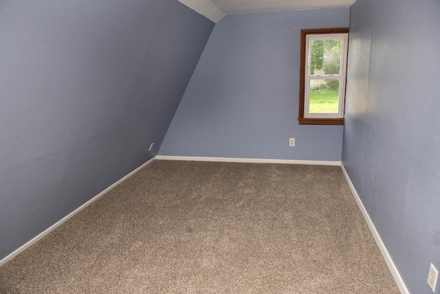 304 Pearl St, Spring Valley, MN 55975 - bonus room with carpet flooring and lofted ceiling
