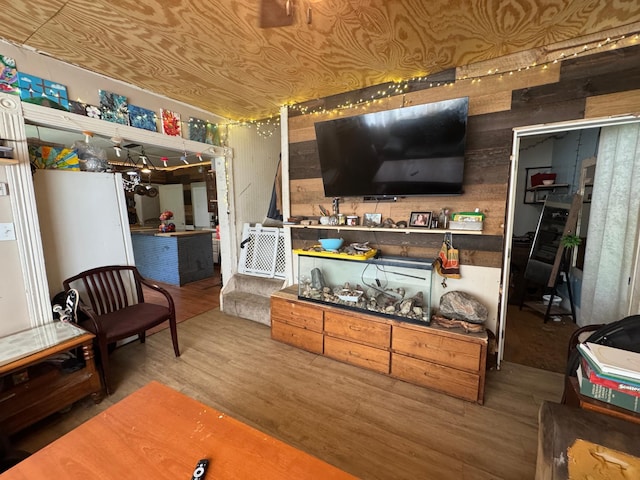 117 Maple Ave, Frazee, MN 56544 - living room featuring wood finished floors and wood walls