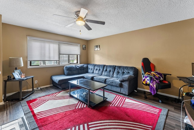 305/307 Jackson Ave N, Hopkins, MN 55343 - photo 4