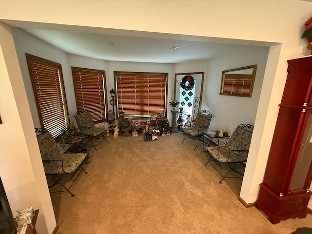 309 Aspenwood Dr, Redwood Falls, MN 56283 - photo 11