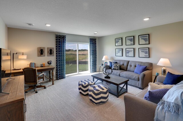 12307 71st Ct NE, Otsego, MN 55330 - photo 16
