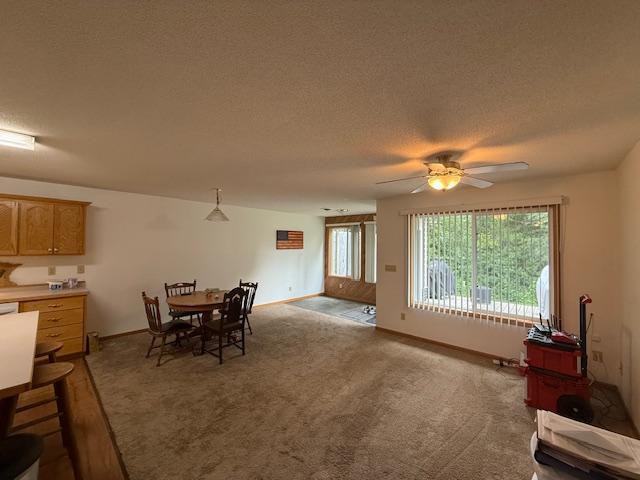 625 Meeker Ct NW, Evansville, MN 56326 - dining area with a ceiling fan, a textured ceiling, and carpet flooring