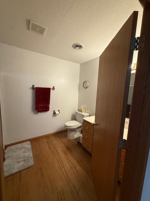 625 Meeker Ct NW, Evansville, MN 56326 - bathroom with wood finished floors, vanity, and a textured ceiling