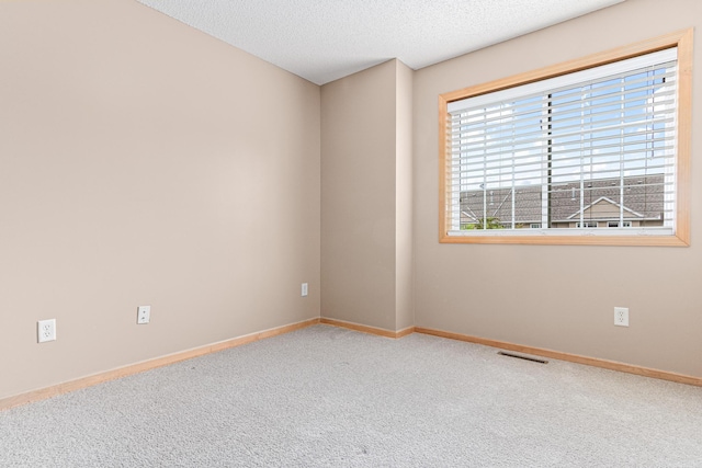 16418 Elm Creek Ln Unit 4027, Lakeville, MN 55044 - carpeted empty room with baseboards and a textured ceiling