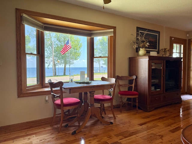 15467 Twilight Rd, Onamia, MN 56359 - dining room with hardwood / wood-style flooring, a water view, and plenty of natural light