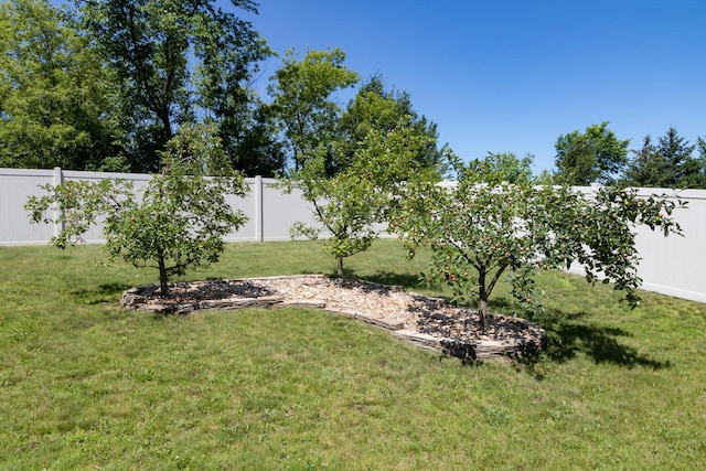 351 Mill St, Osceola, WI 54020 - photo 28