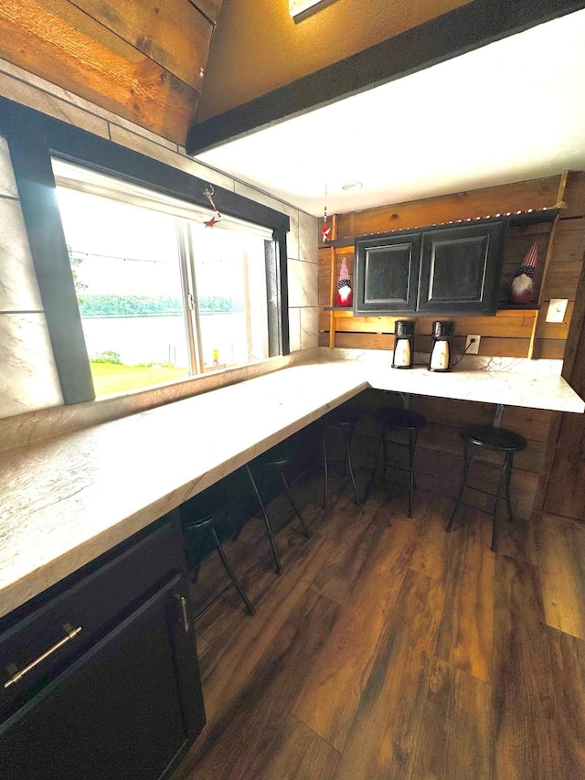 34463 Green Valley Rd SE, Woodside Twp, MN 56736 - kitchen featuring wood finished floors, dark cabinetry, and light countertops