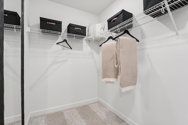18695 Kennedy St NW, Elk River, MN 55330 - spacious closet with carpet floors