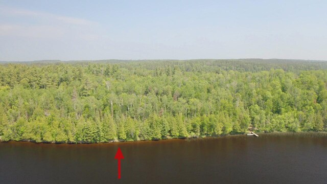 5773 Lake Vermilion N, Breitung Twp, MN 55790 - photo 2