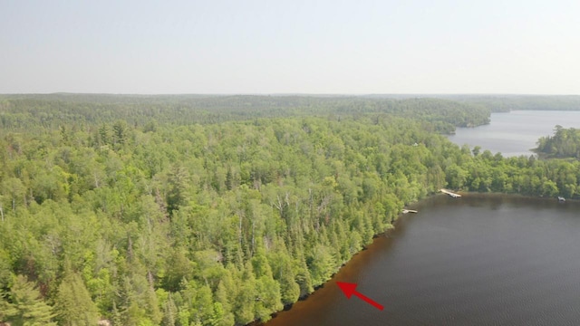 5773 Lake Vermilion N, Breitung Twp, MN 55790 - photo 3