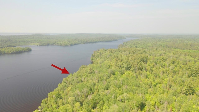 5773 Lake Vermilion N, Breitung Twp, MN 55790 - photo 4