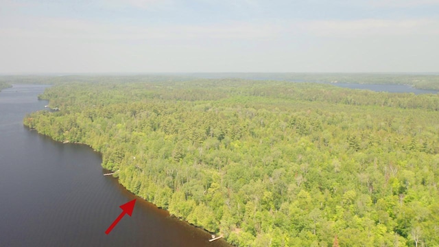 5773 Lake Vermilion N, Breitung Twp, MN 55790 - photo 5