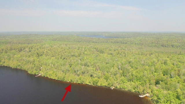 5773 Lake Vermilion N, Breitung Twp, MN 55790 - photo 6