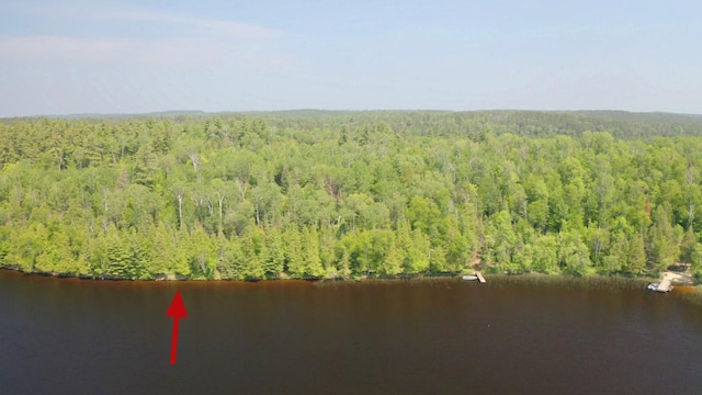 5773 Lake Vermilion N, Breitung Twp, MN 55790 - photo 11