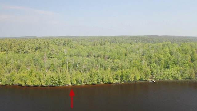 5773 Lake Vermilion N, Breitung Twp, MN 55790 - photo 12