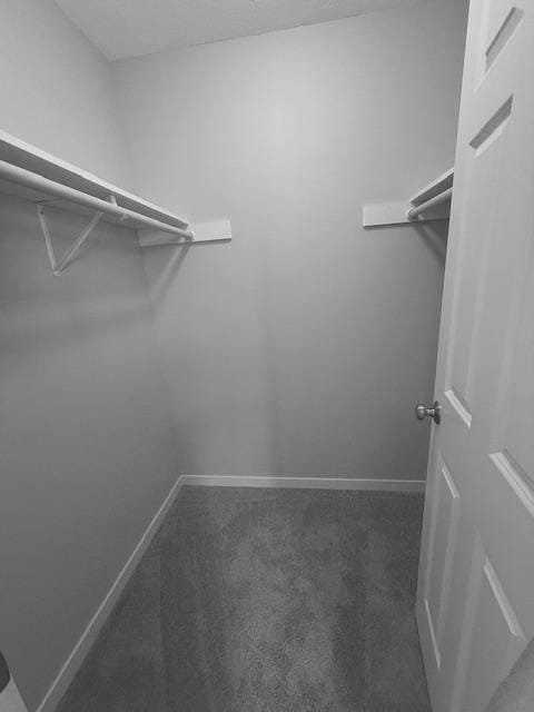 1312 Natures Trl, Alexandria, MN 56308 - walk in closet featuring carpet floors