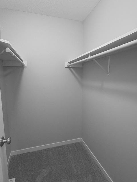 1312 Natures Trl, Alexandria, MN 56308 - walk in closet featuring carpet