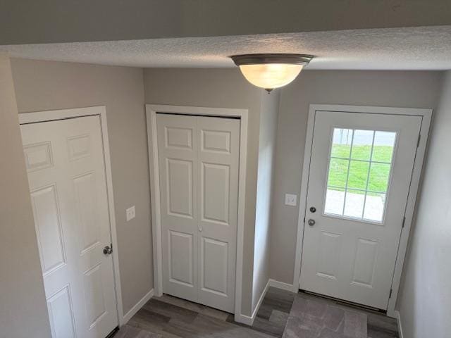 1312 Natures Trl, Alexandria, MN 56308 - entryway with wood finished floors and a textured ceiling