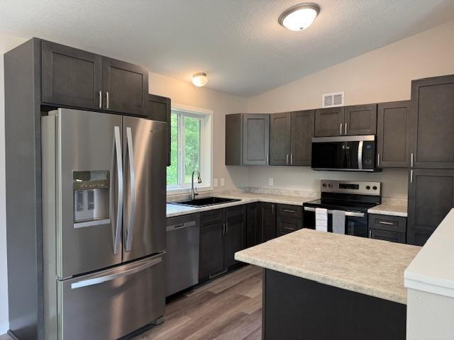 1312 Natures Trl, Alexandria, MN 56308 - kitchen with stainless steel appliances, vaulted ceiling, light countertops, light wood finished floors, and a peninsula