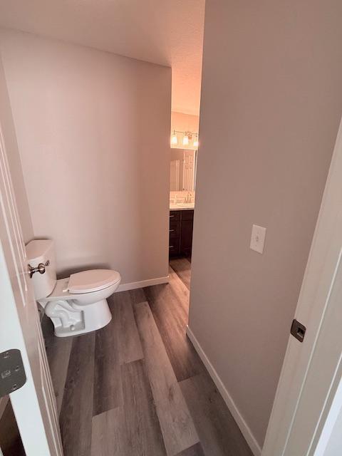 1312 Natures Trl, Alexandria, MN 56308 - bathroom with wood finished floors and vanity