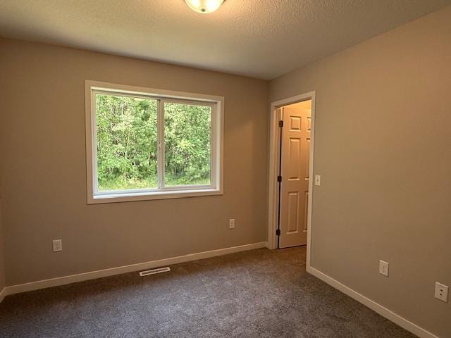 1312 Natures Trl, Alexandria, MN 56308 - empty room with a textured ceiling and dark colored carpet