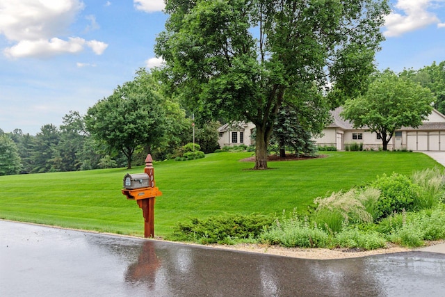 100 River Bluff Pl NW, Rochester, MN 55901 - view of green lawn