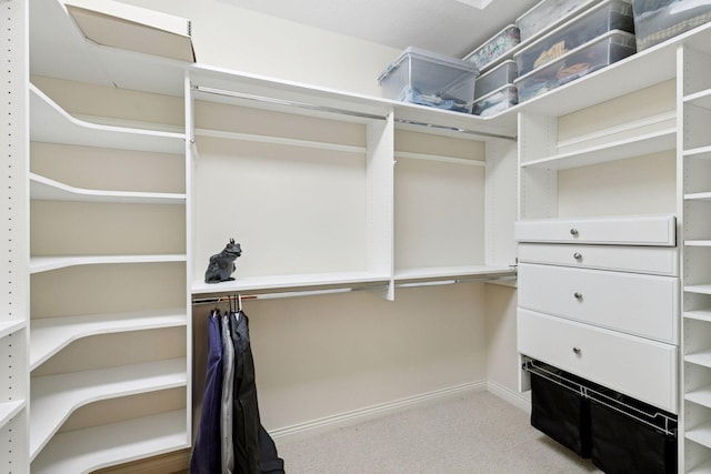 100 River Bluff Pl NW, Rochester, MN 55901 - spacious closet featuring carpet floors