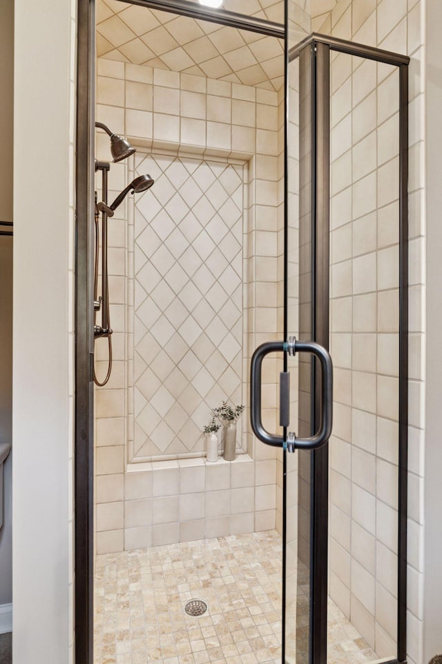 100 River Bluff Pl NW, Rochester, MN 55901 - bathroom with a shower stall