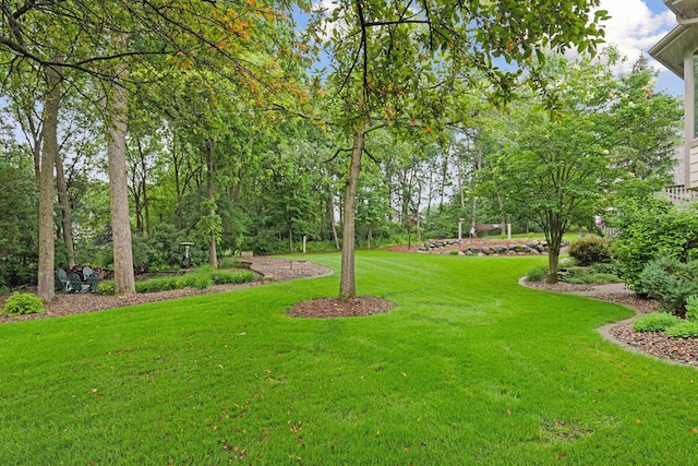 100 River Bluff Pl NW, Rochester, MN 55901 - view of grassy yard