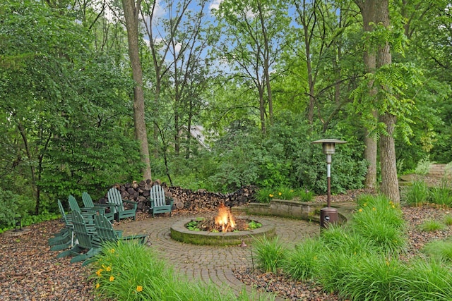 100 River Bluff Pl NW, Rochester, MN 55901 - view of yard with an outdoor fire pit